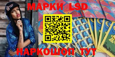 PSILOCYBIN Заволжье